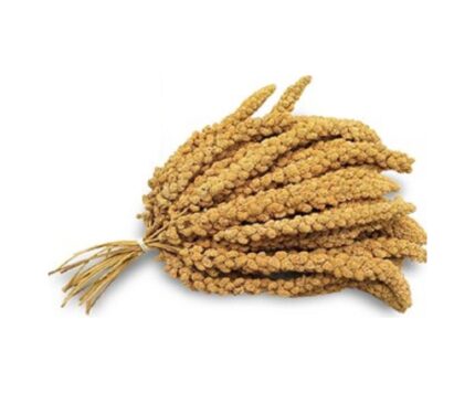 Doğal Dal Darı 250 Gr