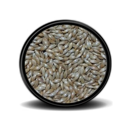 Aspur Açık Mama 1 KG